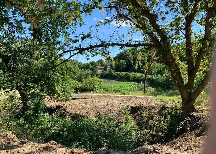 Quinta De Santa Ana, Em Vizela