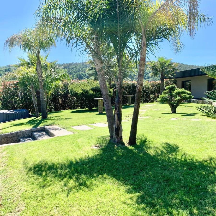 Quinta De Santa Ana, Em Vizela Apartment Infias